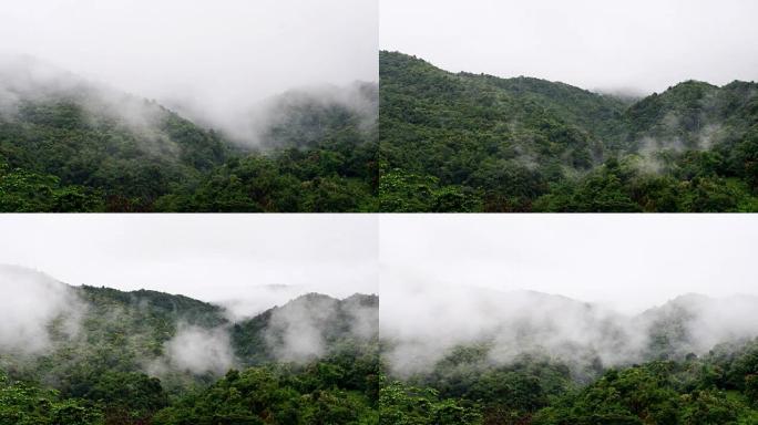 山林上流云雨林风景生态玉林森林氧吧
