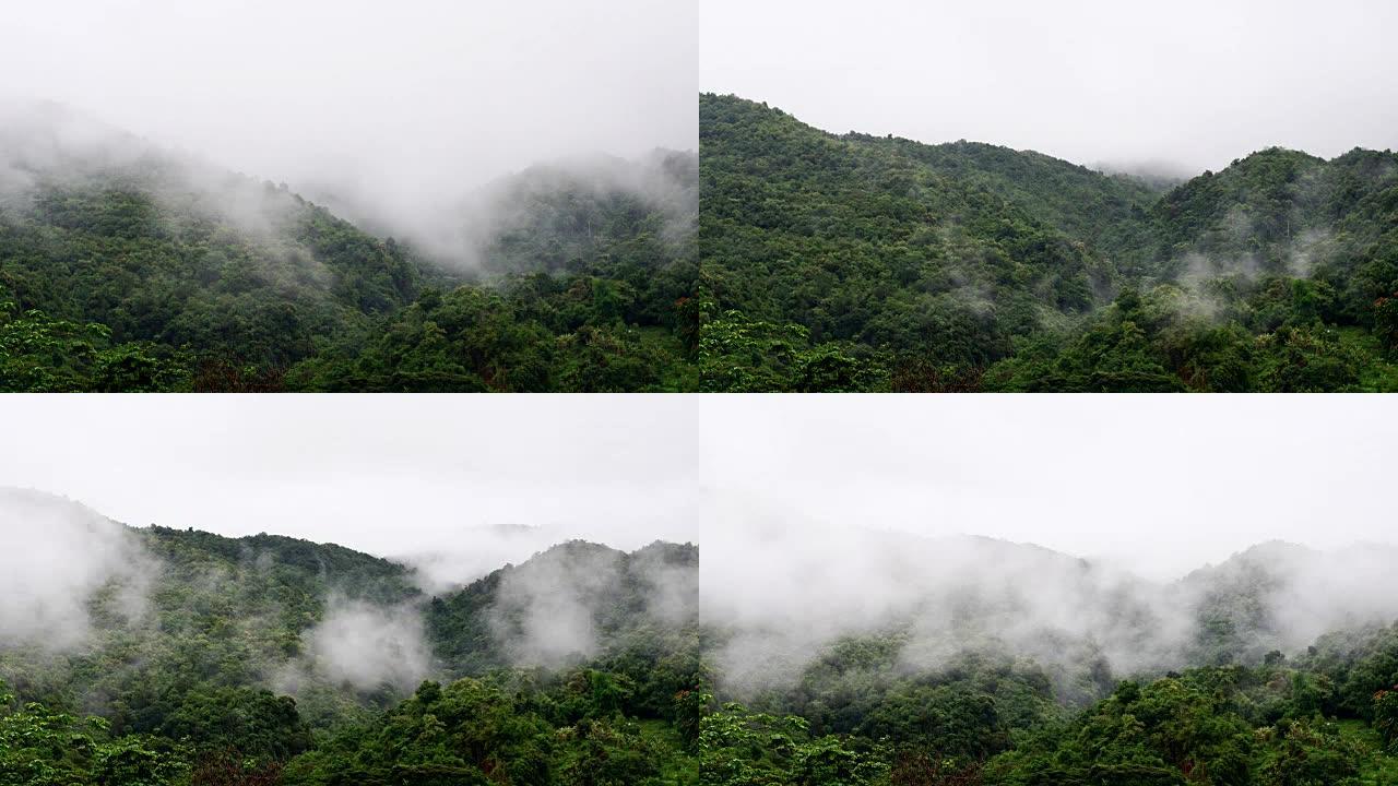 山林上流云雨林风景生态玉林森林氧吧