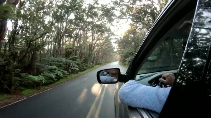 温带雨林路上行驶中的汽车的视点