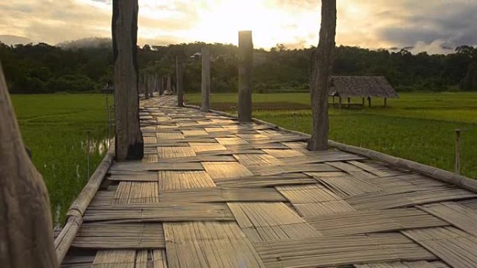 平移: 太阳光下的竹制桥