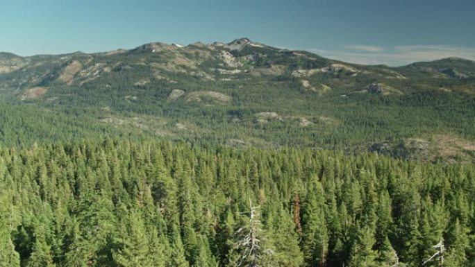 夏季，加利福尼亚内华达山脉的翠绿山坡-无人机拍摄