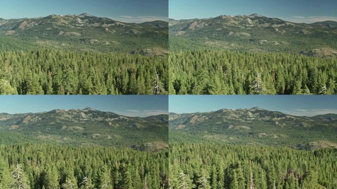 夏季，加利福尼亚内华达山脉的翠绿山坡-无人机拍摄