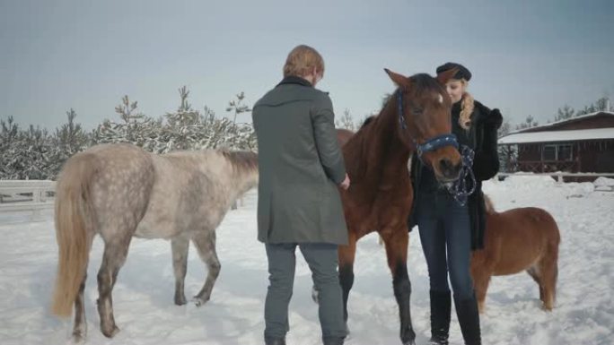 冬天，夫妇带着马和小马在户外牧场散步。