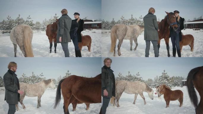 冬天，夫妇带着马和小马在户外牧场散步。