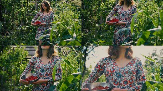 乡下摘树莓的女人乡下摘树莓的女人
