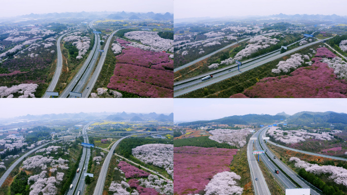 樱花 最美高速路沪昆高速春天的高速路