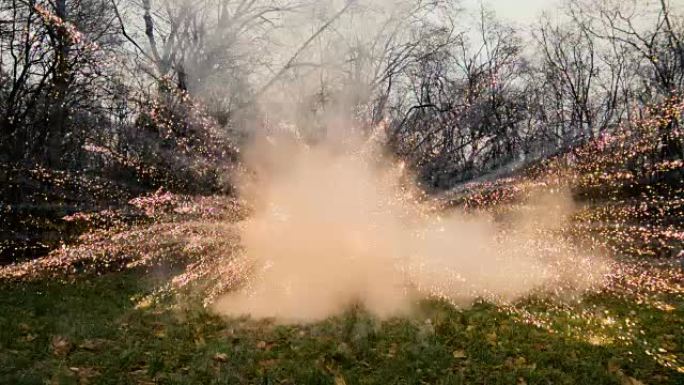 大自然中的大面粉爆炸