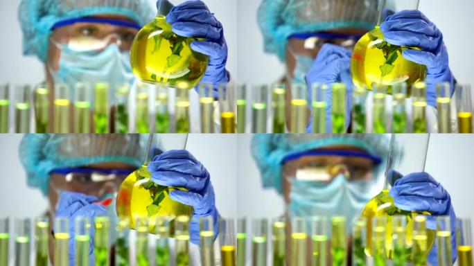 科学家用植物标记烧瓶在保黄液中的实验结果