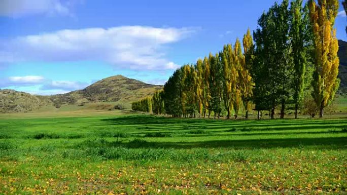 新西兰南岛全景自然景观