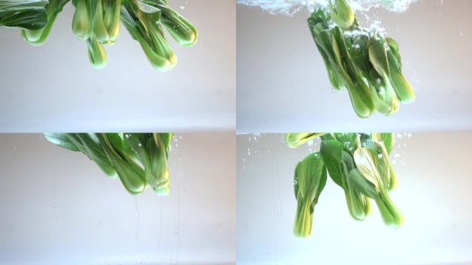 大青菜 蔬菜 大青菜 食物水里拍摄