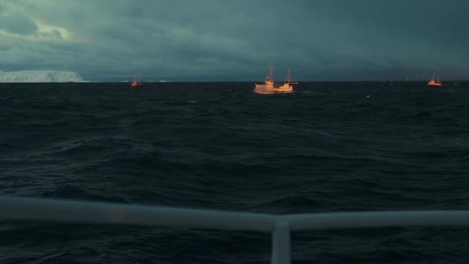 在北极海捕捞鳕鱼海上捕捞特写实拍