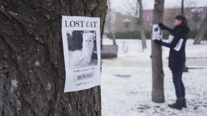 模糊的白人妇女在树上悬挂失踪的猫广告，一个广告在前景。寻找丢失的宠物的年轻女孩。损失，绝望，搜索。专