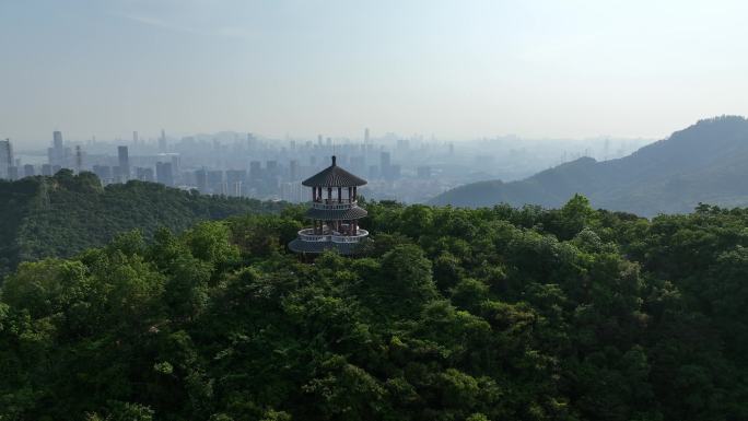 塘朗山郊野公园