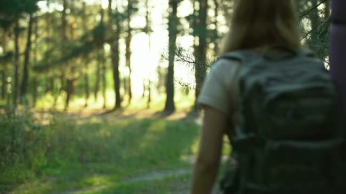 穿过森林的女人，单独野营旅行，冒险冒险，后视图