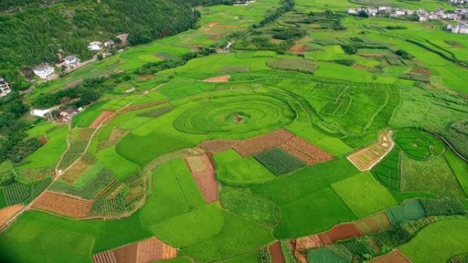 中国贵州喀斯特峰林 (万峰林) 的空中视野稻田。