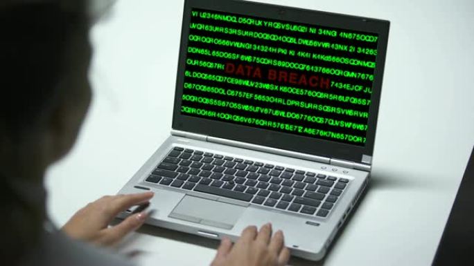 对笔记本电脑的数据泄露攻击，在办公室工作的妇女，网络犯罪