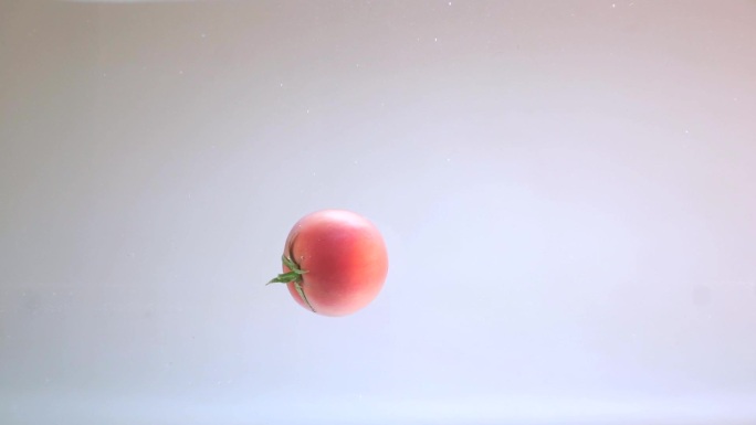 番茄 番茄 西红柿 水中拍摄
