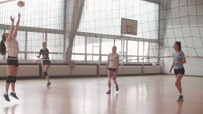 体育排球中的女性慢动作室内场馆团队