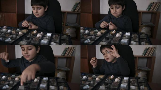 这个男孩看着收藏品中的石头