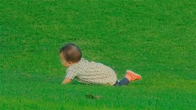 一个婴儿在公园的草地上爬行