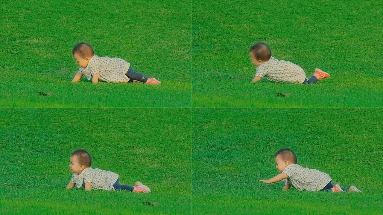 一个婴儿在公园的草地上爬行