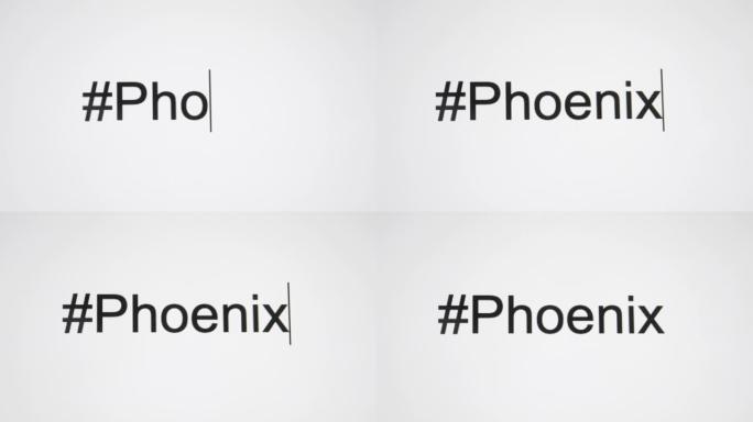 一个人在他们的电脑屏幕上输入 “# Phoenix”