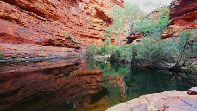 澳大利亚北领地国王峡谷的伊甸园水坑
