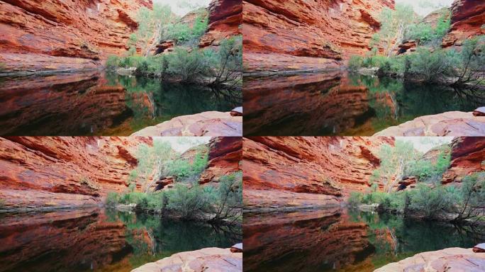澳大利亚北领地国王峡谷的伊甸园水坑