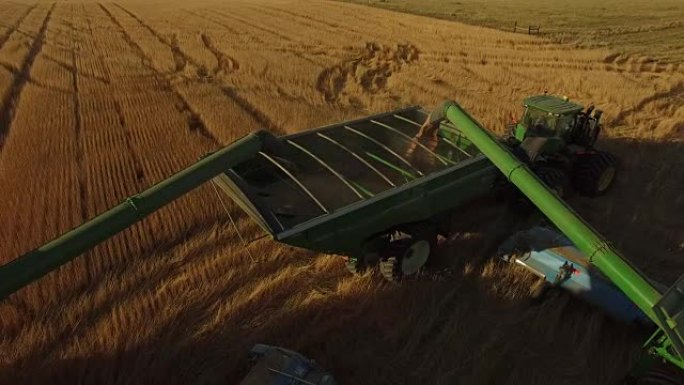 小麦加工01国外麦田收割收获小麦麦田农田