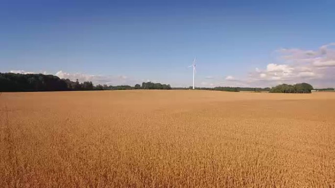 麦田里的风力涡轮机