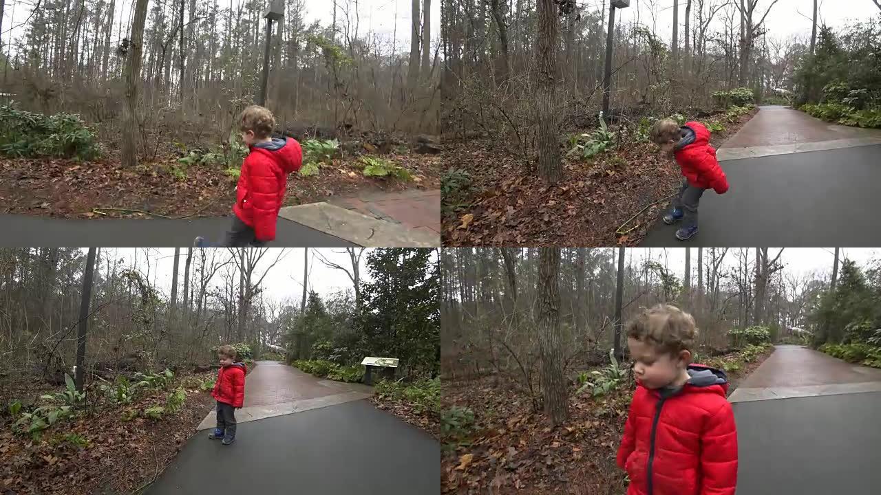 年轻男孩与恐龙模型一起沿着小路行走