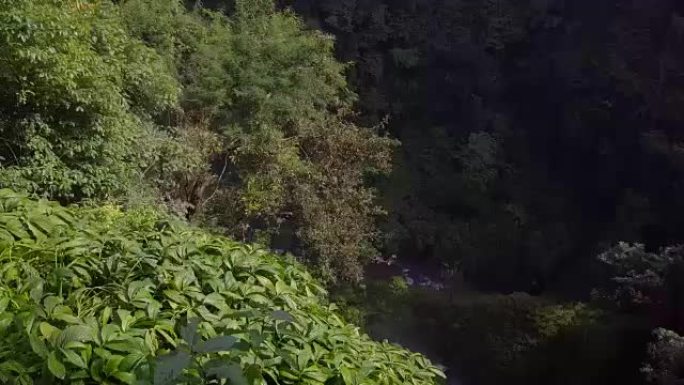 Sekumpul斐济瀑布Singaraja巴厘岛自上而下的无人机景观