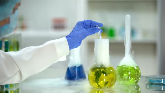 生物化学家从烧瓶中提取黄色有机物样品，植物提取