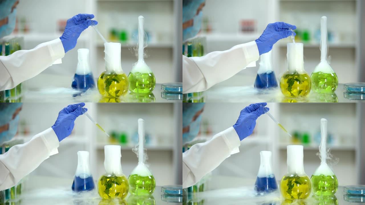 生物化学家从烧瓶中提取黄色有机物样品，植物提取