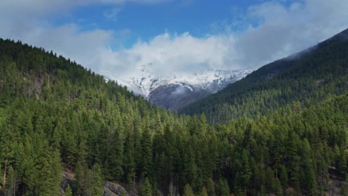 薄雾覆盖的雪峰在蒙大拿州的山谷顶部升起