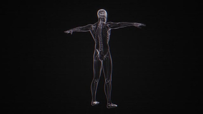 人体骨骼x射线 | Loopab