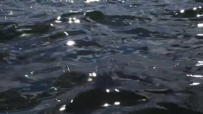 水面上的闪光水面上的闪光波光
