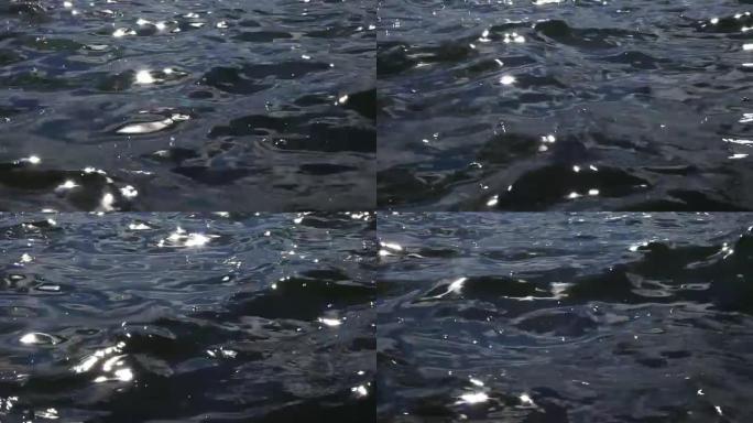 水面上的闪光水面上的闪光波光
