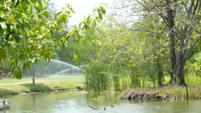 洒水器喷水洒水器喷水