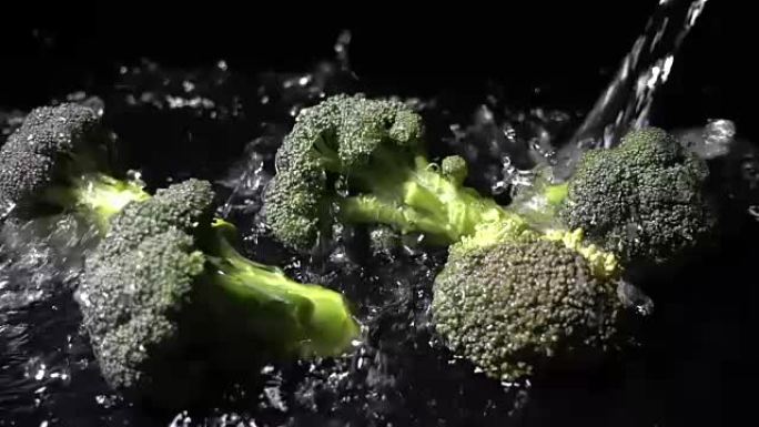 新鲜西兰花绿色有机蔬菜