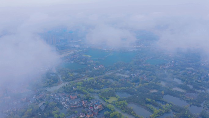 杭州余杭闲林和睦湿地 云雾缭绕湿地 湿地