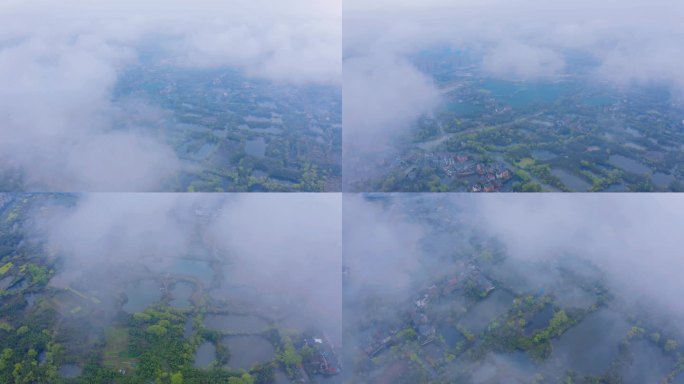 杭州余杭闲林和睦湿地 云雾缭绕湿地 湿地