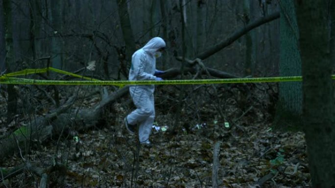在森林谋杀现场工作的防护装备的男性法医专家