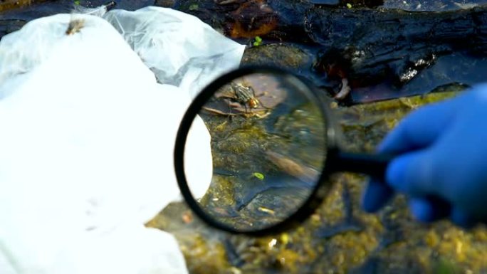 志愿者生态学家通过放大镜在垃圾填埋场上寻找混乱，危险