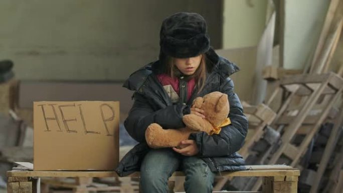 穿着脏衣服的叙利亚小难民坐在建筑工地上，帮助纸板和泰迪熊