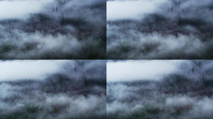 蒙大拿州库卡努萨湖上方的森林上浓雾-无人机射击