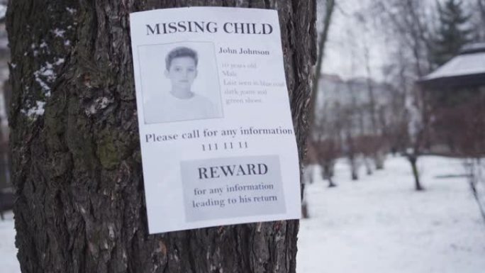 冬天挂在树上的失踪高加索男孩广告。关于奖励任何关于被绑架儿童的数据的信息。绑架，丢失，搜查。
