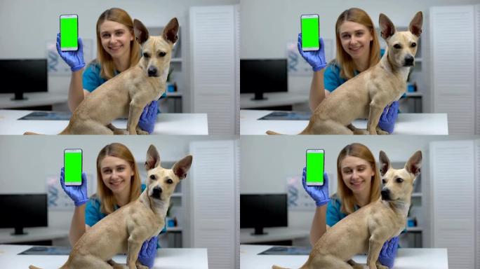 微笑动物诊所医生显示绿屏电话，在线宠物检查应用程序