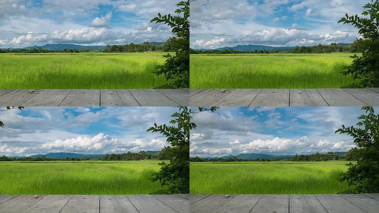 延时字段云层延时生态农业水稻种植