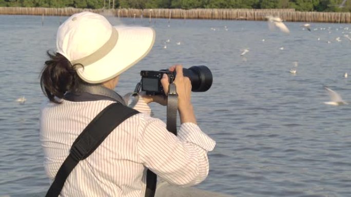 生活方式老年妇女拍照。